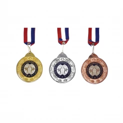 Best Martial Arts / MOOTO USA World Taekwondo Federation With Eagle Medal Awards / Certificates