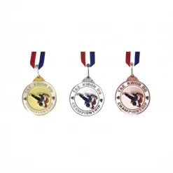 Best Martial Arts / MOOTO USA Awards / Certificates Three Kicker Medal