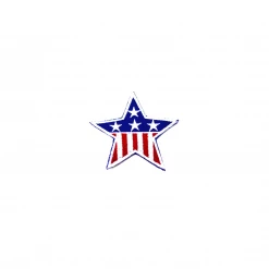 Best Martial Arts / MOOTO USA USA Flag Star Patch