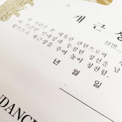 Best Martial Arts / MOOTO USA Certificate