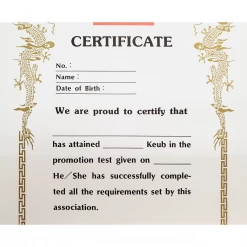 Best Martial Arts / MOOTO USA Awards / Certificates Certificate "Keub" With USA Flag Logo