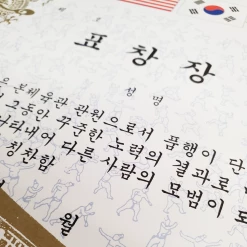 Best Martial Arts / MOOTO USA Certificate