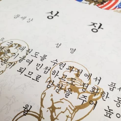 Best Martial Arts / MOOTO USA Certificate