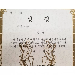 Best Martial Arts / MOOTO USA Certificate "Free Sparring" With Flag Logo