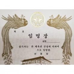 Best Martial Arts / MOOTO USA Awards / Certificates Certificate "Appointment" With OLD WTF Logo