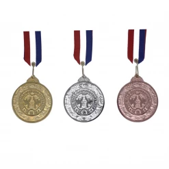 Best Martial Arts / MOOTO USA Awards / Certificates World Taekwondo Federation Medal