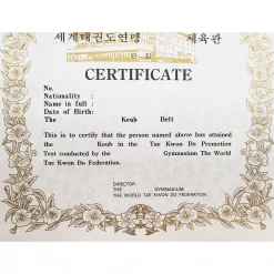 Best Martial Arts / MOOTO USA Certificate