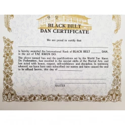 Best Martial Arts / MOOTO USA Certificate