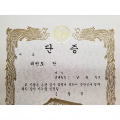 Best Martial Arts / MOOTO USA Awards / Certificates Certificate "Black Belt Dan" With Old WTF Logo