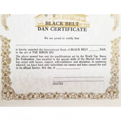 Best Martial Arts / MOOTO USA Awards / Certificates Certificate