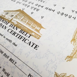 Best Martial Arts / MOOTO USA Certificate