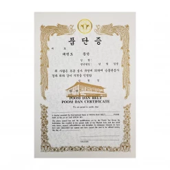 Best Martial Arts / MOOTO USA Certificate "Poom Dan Belt" Awards / Certificates