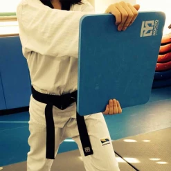 Best Martial Arts / MOOTO USA MOOTO Practice Sponge Board