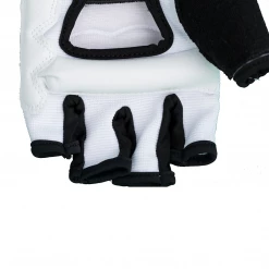 Best Martial Arts / MOOTO USA Sparring Gear BMA Hand Protector